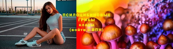 гашик Балахна