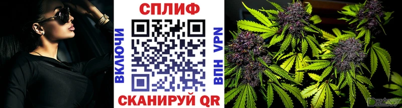 Купить  Старая Русса  Марихуана ГИДРОПОН 